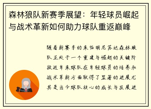 森林狼队新赛季展望：年轻球员崛起与战术革新如何助力球队重返巅峰